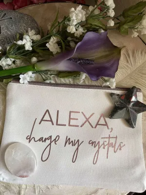 Alexa Travel Pouch