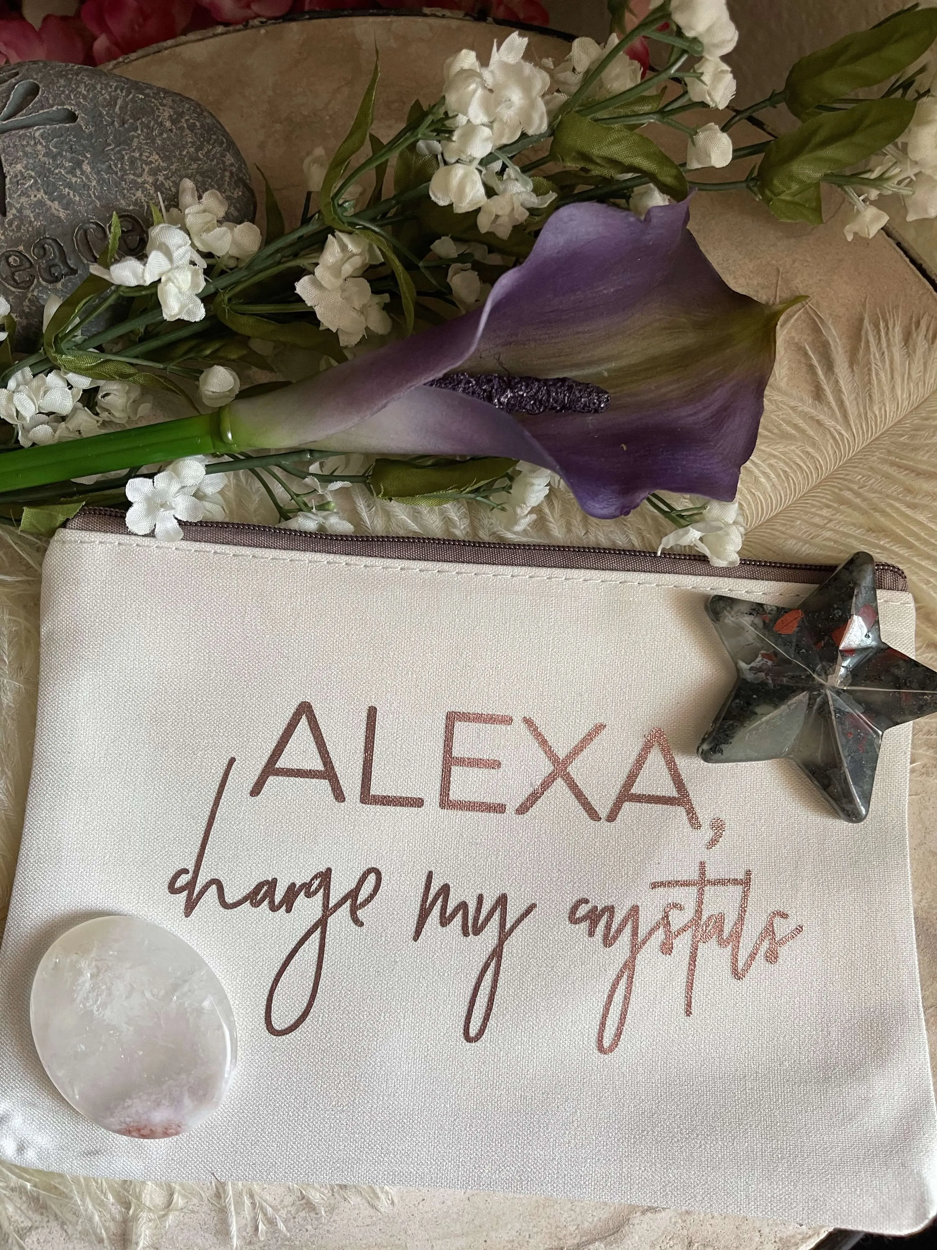 Alexa Travel Pouch