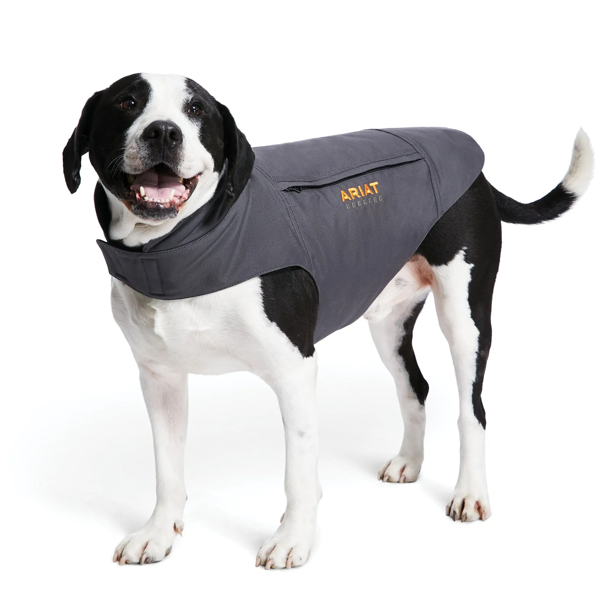 Ariat Rebar DuraCanvas Insulated Dog Jacket #10033145