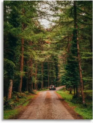 Bathroom Wall Art An off-road car traveling on a dirt road through a lush forest. Pictures Wall Decor Framed Canvas Wall Art for Bedroom Artwork Paintings Living Room Kitchen Farmhouse 16x20