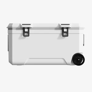 Car Camping Coolers for Lancia Kappa/Prisma/Thema/Voyager/Y10/Fulvia, Waterproof Portable Cooler, Leak Proof Picnic Insulated Bag, Ultra-Light Premium Ice Chest Box,B-White-120L