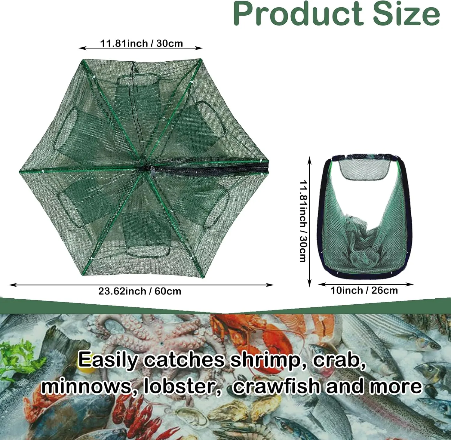Collapsible Fishing Bait Minnow Trap - Durable Fish Trap Net for Minnow, Crab, Crayfish, Shrimp Fish Trap Net - Designed for Minnows and Beyond