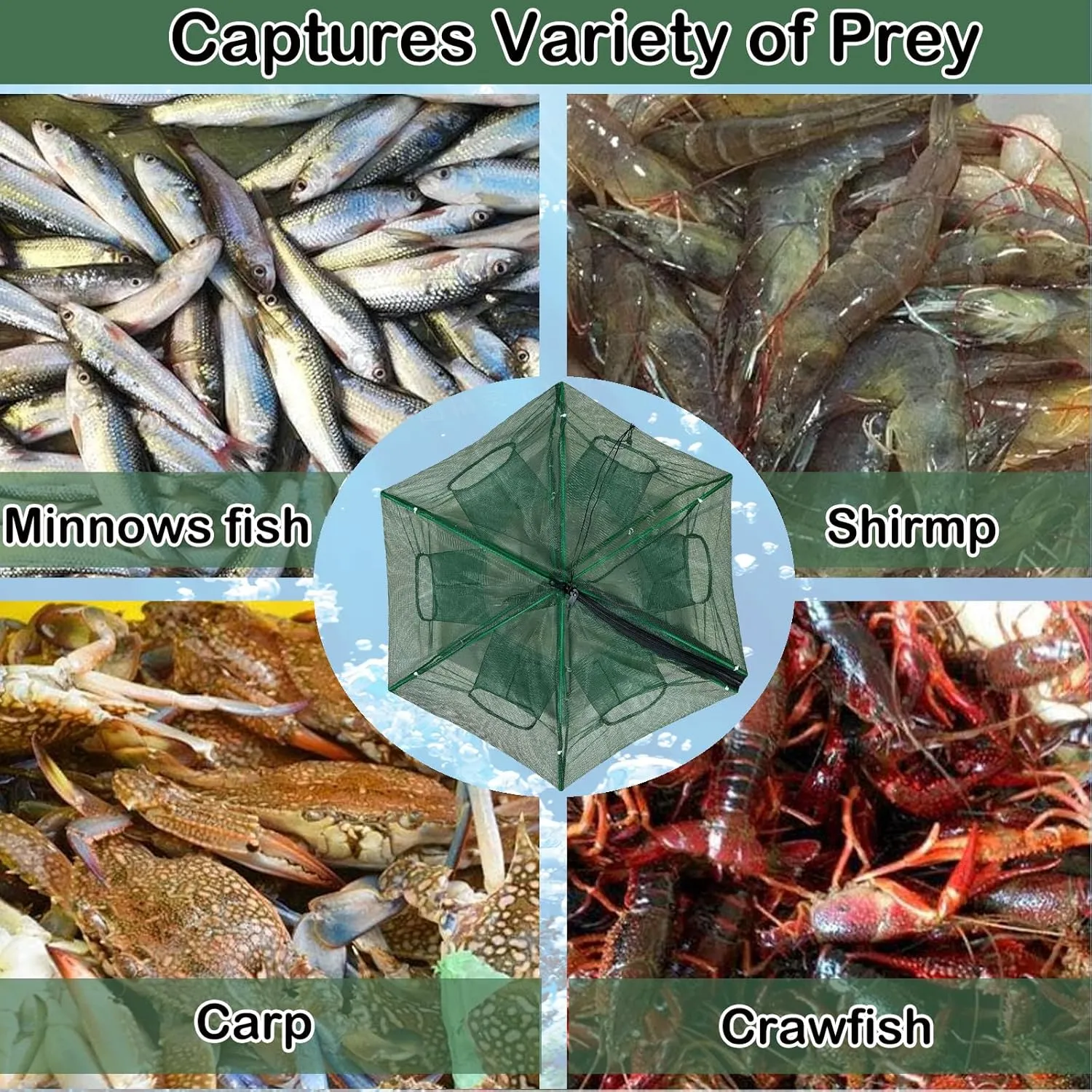 Collapsible Fishing Bait Minnow Trap - Durable Fish Trap Net for Minnow, Crab, Crayfish, Shrimp Fish Trap Net - Designed for Minnows and Beyond