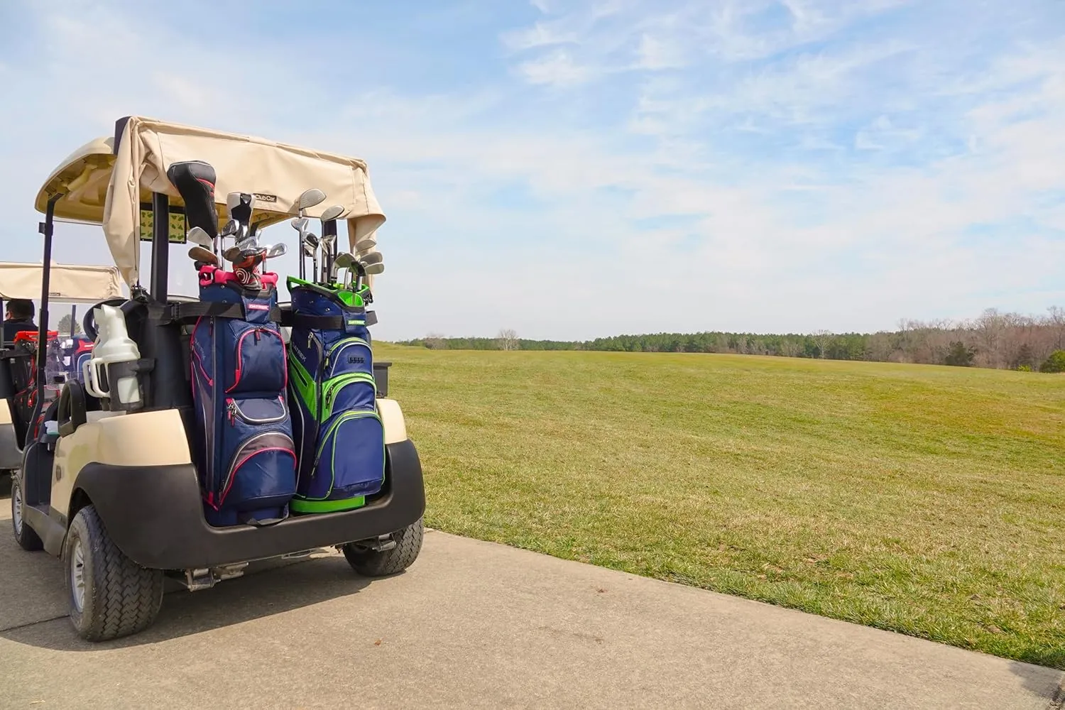 Datrek DG Lite II Cart Bag