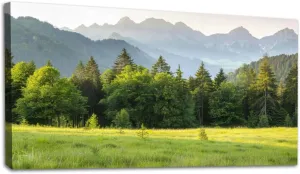 Large Wall Art Prints 20"x40" Typical alpine landscape Framed Canvas Wall Art Painting Artwork Poster Picture Wall Decor for Living Room Bedroom Hanging