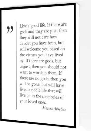 Live A Good Ilfe Canvas Wall Art,Marcus Aurelius Quote Poster,Philosophy Quotes Prints Modern Artwork Painting For Living Room Office Home Decoration 16''x24'' Framed