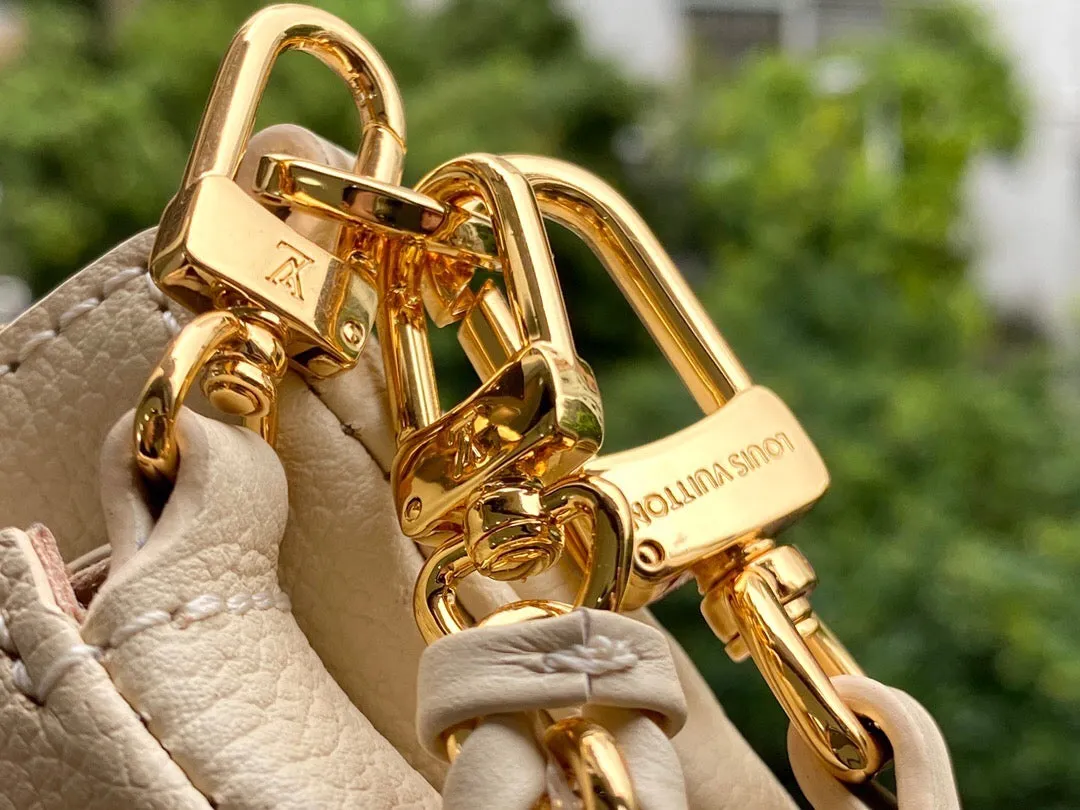 Louis Vuitton Multi Pochette Accessories Bag