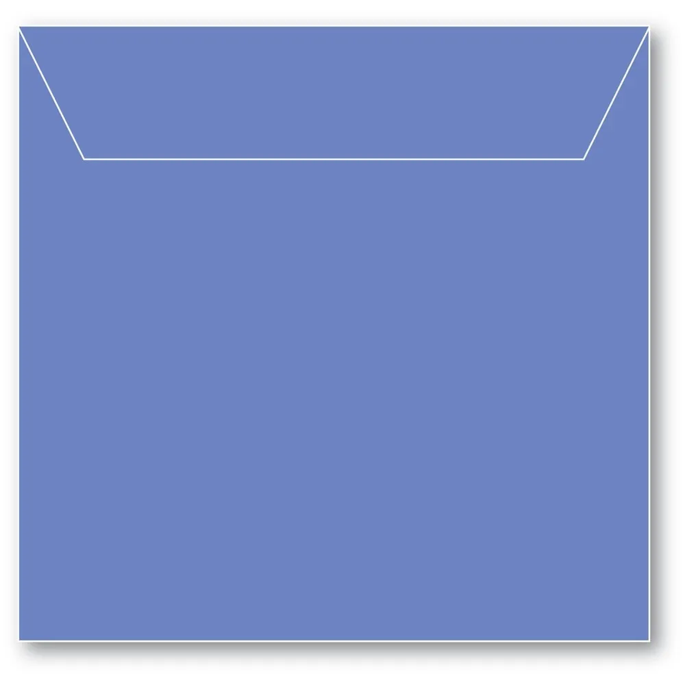 Memory Box Small Storage Pouch 5.125"X5" 50/Pkg, Periwinkle