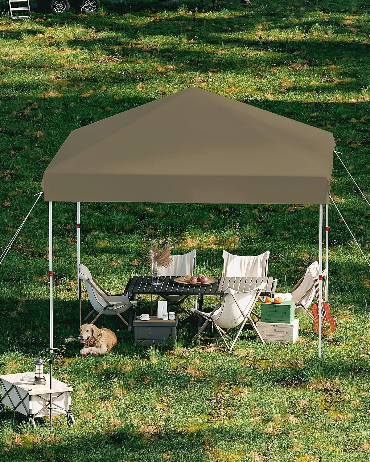 Outdoor Canopy 10X10 Pop Up Canopy Tent, Adjustable Heights Portable Instant Portable Shelter with Wheeled Bag, 4 Sandbags 4 Ropes & 8 Stakes, for Party, Patio, Deck, Garden, Beach (Brown)