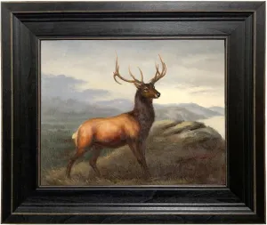 Schooner Bay Co. â€“ White Tail Stag Deer 8 x 10â€ Oil Painting Print on Canvas Rustic Black Frame Home Wall Art Décor Cabin Lodge Wildlife Animals Ready To Hang, Brown, Black