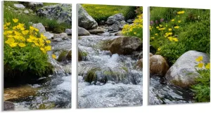 Sparkling Alpine Stream With Mossy Rocks & Vibrant Wildflowers Nearby Canvas Art Prints With Frame for Living Room & Bedroom Decor 8" x 12" x 3pcs