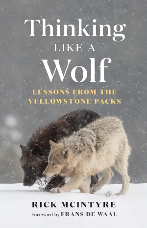 Thinking Like a Wolf: Lessons From the Yellowstone Packs (The Alpha Wolves of Yellowstone) Hardcover – October 29, 2024