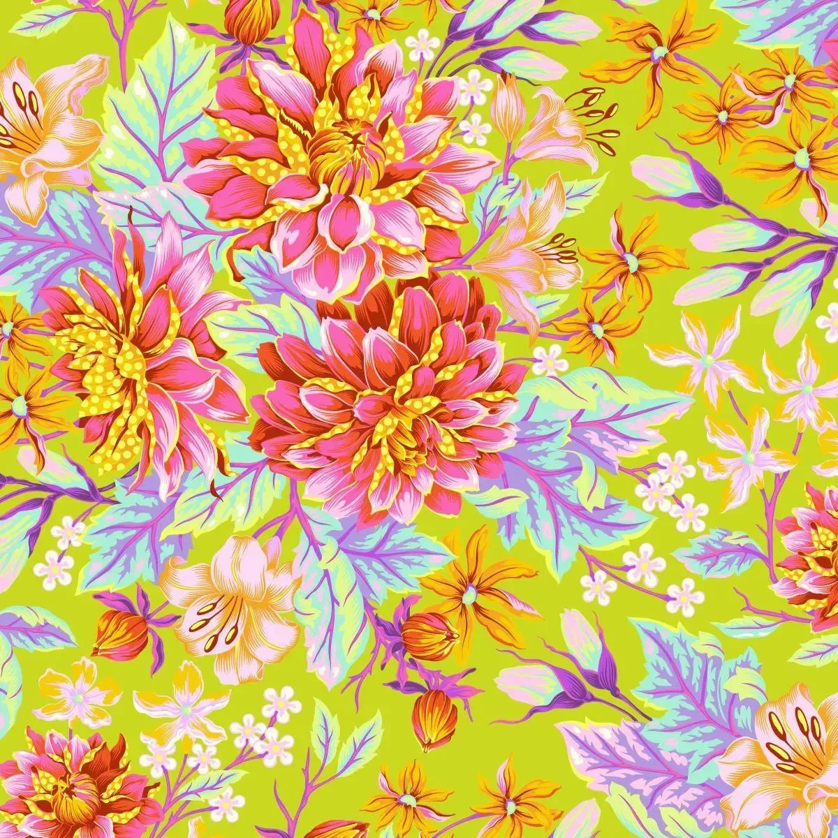 Untamed Hello Dahlia in Moonbeam